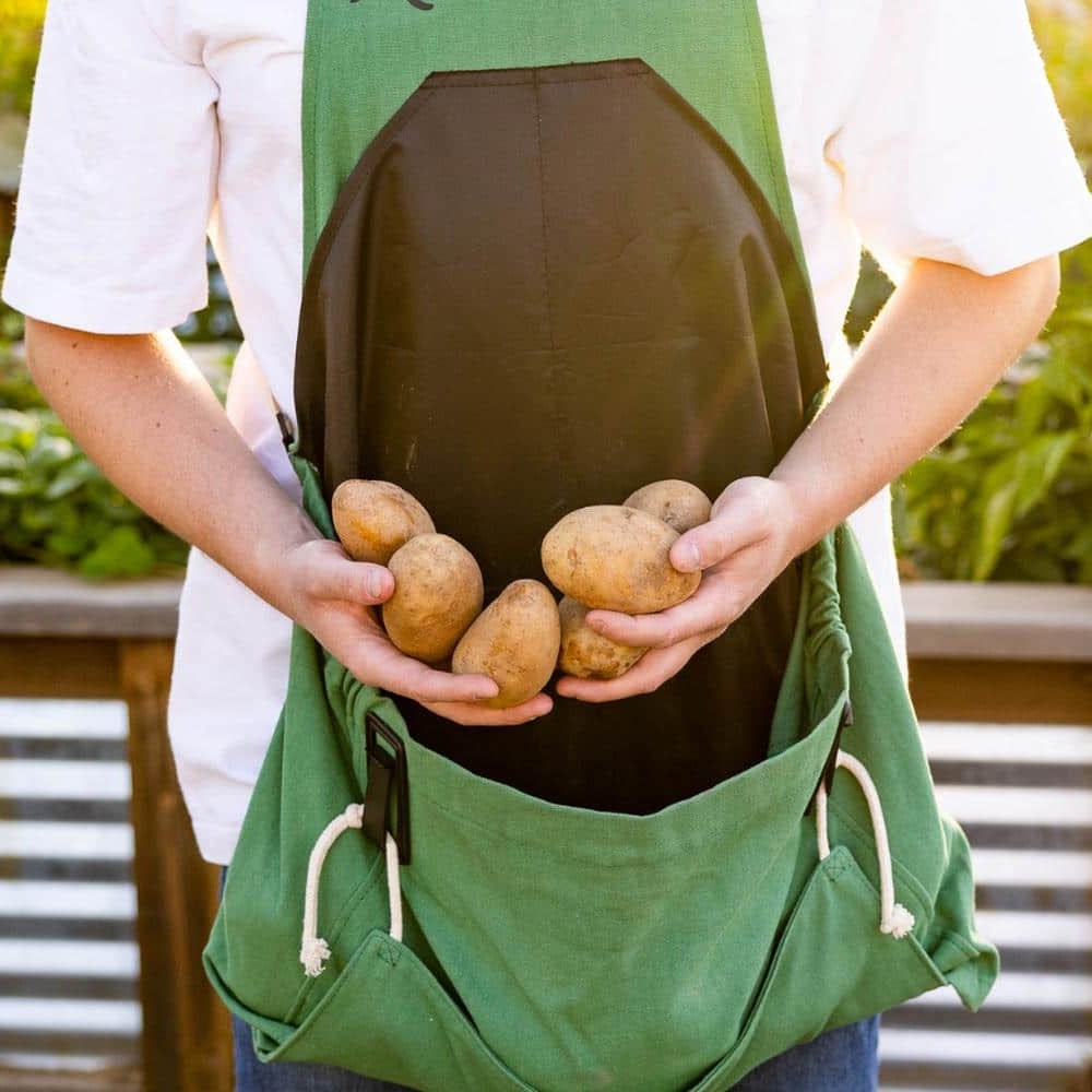 Roo Apron